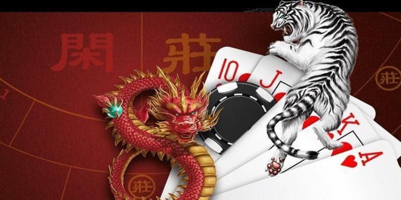 Cập nhật các thuật ngữ mới nhất trong game rồng hổ