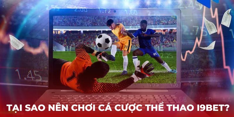 Giải đáp lý do vì sao nên chơi cá cược thể thao i9bet